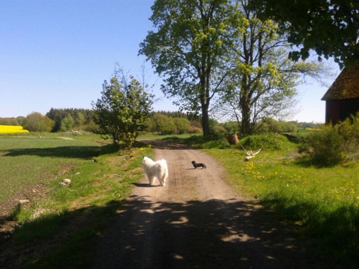 Stora Topphem Skane-Tranas ภายนอก รูปภาพ